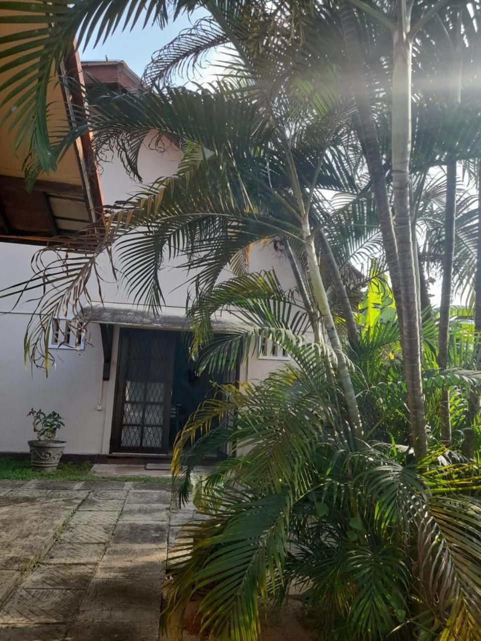 Fuchs Villas Negombo Exterior foto