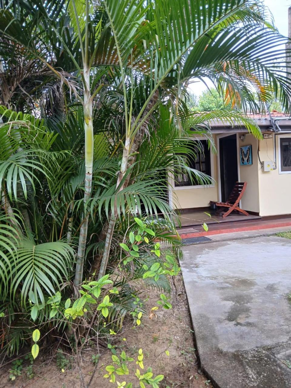 Fuchs Villas Negombo Exterior foto